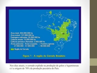 Nos dias atuais, o cerrado explode na produção de grãos e leguminosas
e é a origem de 70% da produção pecuária do País.
 