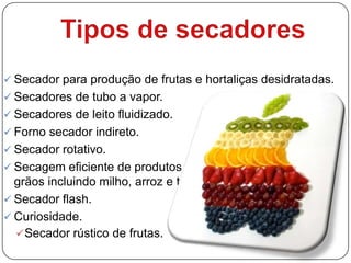 Tipos de secadoresSecador para produção de frutas e hortaliças desidratadas.