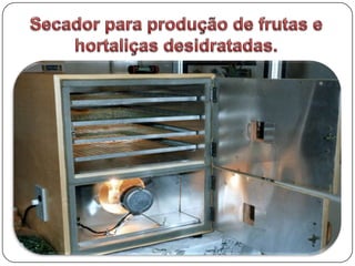 Secadores de tubo a vapor.