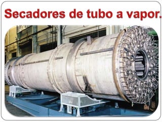 Secadores de leito fluidizado.