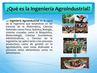 La Ingeniería Agroindustrial es la rama
de la Ingeniería que basándose en las
Ciencias de la Matemática, Ciencias
Naturales como Física, Química, Biología,
ciencias cruzadas como la Bioquímica,
Biotecnología, Ciencias Económicas,
Administrativas, y Ciencias de la
Ingeniería, las aplica tanto a los procesos
productivos como de gestión en la
agroindustria, sean estas dedicadas a
procesos tanto alimentarios como no
alimentarios.
¿Qué es la Ingeniería Agroindustrial?
 