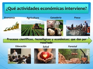 ¿Qué actividades económicas interviene?
Economía Agricultura Ganadería Pesca
ForestalEducación Salud
Procesos científicos, tecnológicos y económicos; que dan por
resultado:
 