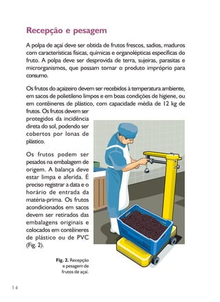 14
Recepção e pesagem
A polpa de açaí deve ser obtida de frutos frescos, sadios, maduros
com características físicas, químicas e organolépticas específicas do
fruto. A polpa deve ser desprovida de terra, sujeiras, parasitas e
microrganismos, que possam tornar o produto impróprio para
consumo.
Os frutos do açaizeiro devem ser recebidos à temperatura ambiente,
em sacos de polietileno limpos e em boas condições de higiene, ou
em contêineres de plástico, com capacidade média de 12 kg de
frutos. Os frutos devem ser
protegidos da incidência
direta do sol, podendo ser
cobertos por lonas de
plástico.
Os frutos podem ser
pesados na embalagem de
origem. A balança deve
estar limpa e aferida. É
preciso registrar a data e o
horário de entrada da
matéria-prima. Os frutos
acondicionados em sacos
devem ser retirados das
embalagens originais e
colocados em contêineres
de plástico ou de PVC
(Fig. 2).
Fig. 2. Recepção
e pesagem de
frutos de açaí.
 