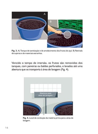16
Fig. 4. Local de condução da matéria-prima para a área de
lavagem.
Fig. 3. A) Tanque de sanitização e de amolecimento dos frutos de açaí. B) Retirada
de sujeiras e de materiais estranhos.
Vencido o tempo de imersão, os frutos são removidos dos
tanques, com peneiras ou baldes perfurados, e levados até uma
abertura que os transporta à área de lavagem (Fig. 4).
 