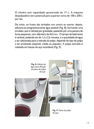 19
O cilindro tem capacidade aproximada de 17 L. A máquina
despolpadeira tem potencial para suportar cerca de 100 a 200 L
por dia.
De início, os frutos são atritados uns contra os outros; depois,
adiciona-se progressivamente água potável (Fig. 8), formando uma
emulsão, que é retirada por gravidade, passando por uma peneira de
furos pequenos, com diâmetro de 0,6 mm. O tempo de batimento
é variável, podendo ser de 1,5 a 2,5 minutos, e a quantidade de água
a ser adicionada para a retirada da polpa depende do tipo de polpa
a ser produzida (especial, média ou popular). A polpa extraída é
coletada em bacias de aço inoxidável (Fig. 9).
Fig. 8. Adição de
água para diluição
da pasta de polpa
de açaí.
Fig. 9. Pasta da polpa
de açaí.
 