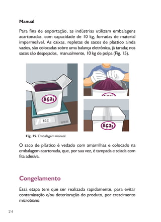 24
Manual
Para fins de exportação, as indústrias utilizam embalagens
acartonadas, com capacidade de 10 kg, forradas de material
impermeável. As caixas, repletas de sacos de plástico ainda
vazios, são colocadas sobre uma balança eletrônica, já tarada; nos
sacos são despejados, manualmente, 10 kg de polpa (Fig. 15).
O saco de plástico é vedado com amarrilhas e colocado na
embalagem acartonada, que, por sua vez, é tampada e selada com
fita adesiva.
Congelamento
Essa etapa tem que ser realizada rapidamente, para evitar
contaminação e/ou deterioração do produto, por crescimento
microbiano.
Fig. 15. Embalagem manual.
 