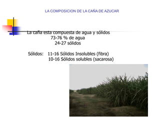 LA COMPOSICION DE LA CAÑA DE AZUCAR
La caña esta compuesta de agua y sólidos
73-76 % de agua
24-27 sólidos
Sólidos: 11-16 Sólidos Insolubles (fibra)
10-16 Sólidos solubles (sacarosa)
 