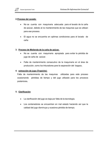 Agroindustrial tuman proyecto 2010