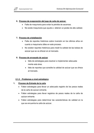 Agroindustrial tuman proyecto 2010