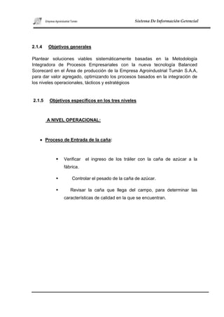 Agroindustrial tuman proyecto 2010