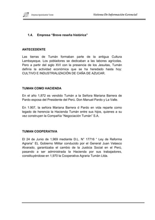 Agroindustrial tuman proyecto 2010