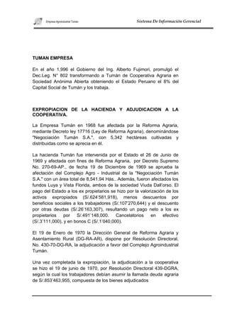 Agroindustrial tuman proyecto 2010