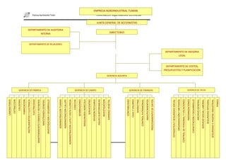 Agroindustrial tuman proyecto 2010