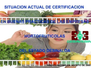 SITUACION ACTUAL DE CERTIFICACION  EN BUENAS PRACTICAS DE LAS EMPRESAS HORTOFRUTICOLAS  DEL ESTADO DESINALOA MAZATLAN SINALOA AGOSTO DE 2008 