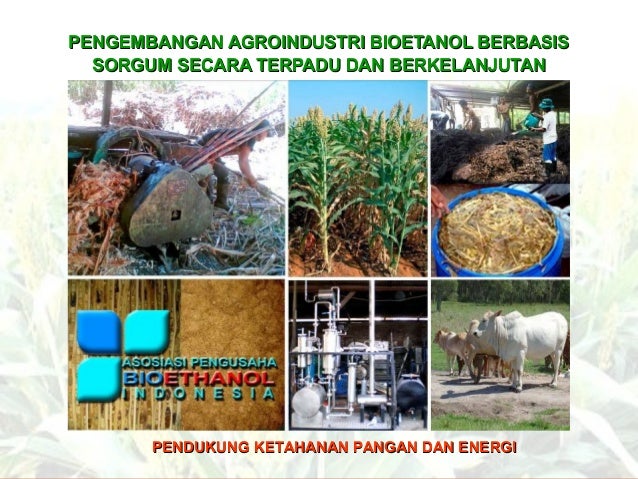 Agroindustri bioetanol sorgum terpadu Agroindustri bioetanol sorgum terpadu