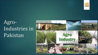 Agro-
Industries in
Pakistan
 