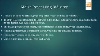 Maize Processing Industry
 Maize is an important food grain crop after wheat and rice in Pakistan.
 In 2014-15, its contribution to GDP was 0.4% and 2.1% to agricultural value added and
its production was 4.695 million tones.
 The maize production is mostly concentrated in Punjab and Khyber Pakhtunkhwa.
 Maize as grain provides sufficient starch, vitamins, proteins and minerals.
 Maize straw is used as energy source at homes.
 Maize is also used as animal feed and forage
 