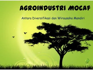 Agroindustri Mocaf
Antara Diversifikasi dan Wirausaha Mandiri
 
