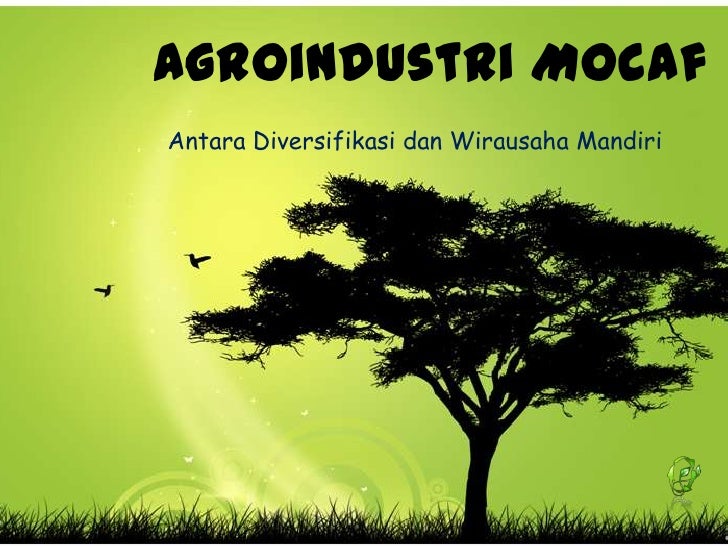 Agroindustri mocaf Agroindustri mocaf