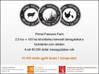 Primal Pastures Farm
2.5 ha -» 100 ha bővüléshez keresett támogatókat a
kickstarter.com oldalon
A cél 40.000 dollár összegyűjtése volt.
57.810 dollár gyűlt össze 1 hónap alatt.
AGROmashEXPO
A közösségi marketing buktatói
2014.01.30.

RG Stúdió
És az Internet Önnek dolgozik!
www.rgstudio.hu

Közösségi marketing vállalkozásoknak
www.facebooktippek.hu
facebook.com/fbtippek

 