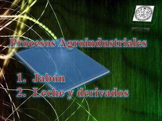 Procesos Agroindustriales Jabón  Leche y derivados 
