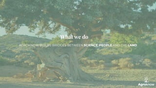 AGROKNOW BUILDS BRIDGES BETWEEN SCIENCE, PEOPLE AND THE LAND
What we do
 