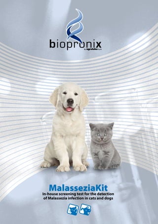 S.p.A.by
MalasseziaKitIn-house screening test for the detection
of Malassezia infection in cats and dogs
 