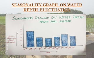 SEASONALITY GRAPH ON WATER
DEPTH FLUCTUATION
 