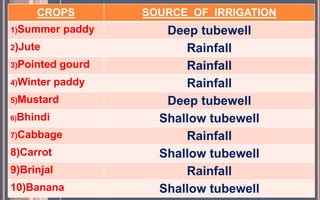 CROPS SOURCE OF IRRIGATION
1)Summer paddy Deep tubewell
2)Jute Rainfall
3)Pointed gourd Rainfall
4)Winter paddy Rainfall
5)Mustard Deep tubewell
6)Bhindi Shallow tubewell
7)Cabbage Rainfall
8)Carrot Shallow tubewell
9)Brinjal Rainfall
10)Banana Shallow tubewell
 