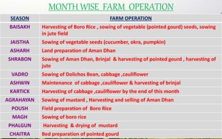 MONTH WISE FARM OPERATION
SEASON FARM OPERATION
BAISAKH Harvesting of Boro Rice , sowing of vegetable (pointed gourd) seeds, sowing
in jute field
JAISTHA Sowing of vegetable seeds (cucumber, okra, pumpkin)
ASHARH Land preparation of Aman Dhan
SHRABON Sowing of Aman Dhan, Brinjal & harvesting of pointed gourd , harvesting of
jute
VADRO Sowing of Dolichos Bean, cabbage ,cauliflower
ASHWIN Maintenance of cabbage ,cauliflower & harvesting of brinjal
KARTICK Harvesting of cabbage ,cauliflower by the end of this month
AGRAHAYAN Sowing of mustard , Harvesting and selling of Aman Dhan
POUSH Field preparation of Boro Rice
MAGH Sowing of boro rice
PHALGUN Harvesting & drying of mustard
CHAITRA Bed preparation of pointed gourd
 