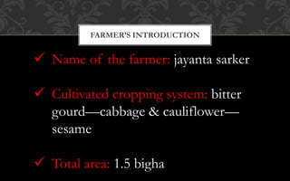 FARMER’S INTRODUCTION
 Name of the farmer: jayanta sarker
 Cultivated cropping system: bitter
gourd—cabbage & cauliflower—
sesame
 Total area: 1.5 bigha
 
