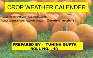 CROP WEATHER CALENDER
NAMEOF THE FARMER : BASUDEBSARKAR
CROP UNDERSTUDY: PUMPKIN(SC.NAME– (Cucurbita moschata )
PREPARED BY - TUHINA GUPTA
ROLL NO. - 10
 