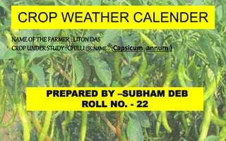 CROP WEATHER CALENDER
NAME OF THEFARMER : LITONDAS
CROP UNDERSTUDY: CHILLI (SC.NAME– (Capsicum annum )
PREPARED BY –SUBHAM DEB
ROLL NO. - 22
 