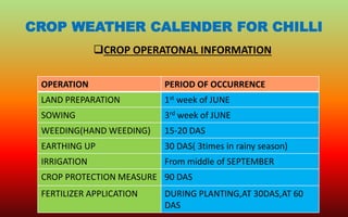 CROP WEATHER CALENDER FOR CHILLI
CROP OPERATONAL INFORMATION
OPERATION PERIOD OF OCCURRENCE
LAND PREPARATION 1st week of JUNE
SOWING 3rd week of JUNE
WEEDING(HAND WEEDING) 15-20 DAS
EARTHING UP 30 DAS( 3times in rainy season)
IRRIGATION From middle of SEPTEMBER
CROP PROTECTION MEASURE 90 DAS
FERTILIZER APPLICATION DURING PLANTING,AT 30DAS,AT 60
DAS
 