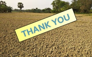 Agrometeorology ppt rawe