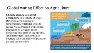 Agrometrology Global warming and Climate Change effects in Agriculture ...