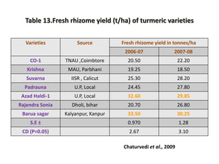 Water Management in Turmeric | PPTX