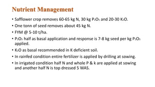 Nutrient Management
• Safflower crop removes 60-65 kg N, 30 kg P2O5 and 20-30 K2O.
• One tonn of seed removes about 45 kg N.
• FYM @ 5-10 t/ha.
• P2O5 half as basal application and response is 7-8 kg seed per kg P2O5
applied.
• K2O as basal recommended in K deficient soil.
• In rainfed condition entire fertilizer is applied by drilling at sowing.
• In irrigated condition half N and whole P & k are applied at sowing
and another half N is top dressed 5 WAS.
 