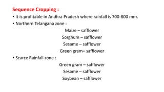 Sequence Cropping :
• It is profitable in Andhra Pradesh where rainfall is 700-800 mm.
• Northern Telangana zone :
Maize – safflower
Sorghum – safflower
Sesame – safflower
Green gram– safflower
• Scarce Rainfall zone :
Green gram – safflower
Sesame – safflower
Soybean – safflower
 