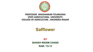 PROFESSOR JAYASHANKAR TELANGANA
STATE AGRICULTURAL UNIVERSITY,
COLLEGE OF AGRICULTURE , RAJENDRA NAGAR
Safflower
BY
SHAIKH WASIM CHAND
RAM / 15-13
 