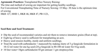 Agronomic Practices: Transplanted Rice Nursery Raising:
The time and method of sowing are important for getting healthy seedlings.
For Conventional Transplanting Time of Nursery Sowing: 15 May- 30 June is the optimum time
of sowing
HKR 127, HHD 1, HKR 46, HKR 47, PB 1121,
Seed Rate and Seed Treatment:
 Dip the seed of recommended varieties and stir them to remove immature grains (float at top).
 Eight kg of heavy seed is sufficient for transplanting an acre.
 Heavy seed ensures healthy, sturdy and uniform seedlings.
 Treat the seed with carbendazim + mancozeb by making slurry of 3 g fungicide formulation in
10-12 ml water for one kg seed (24 g fungicide in 80-100 ml water for 8 kg seed).
 10 liter water+10gm carbendazim/10 gm amisan/ 1 gm streptocycline
 