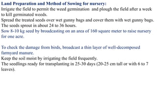Land Preparation and Method of Sowing for nursery:
Irrigate the field to permit the weed germination and plough the field after a week
to kill germinated weeds.
Spread the treated seeds over wet gunny bags and cover them with wet gunny bags.
The seeds sprout in about 24 to 36 hours.
Sow 8-10 kg seed by broadcasting on an area of 160 square meter to raise nursery
for one acre.
To check the damage from birds, broadcast a thin layer of well-decomposed
farmyard manure.
Keep the soil moist by irrigating the field frequently.
The seedlings ready for transplanting in 25-30 days (20-25 cm tall or with 6 to 7
leaves).
 