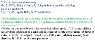Nutrient management in nursery
10-12 t FYM, 10 kg N, 10 kg P, 10 kg ZnSo4 mixed with puddling
1.6 to 2 q seed /acre
After 15 DAS apply 10 kg N- 2nd application
If the seedlings show the yellowing of new leaves, spray them three times with 0.5-
1% ferrous sulphate solution (0.5-1.0 kg ferrous sulphate dissolved in 100 litres of
water per acre)
If the leaves turn rusty brown after becoming yellow, spray of 0.5% zinc sulphate
heptahydrate solution (500 g zinc sulphate heptahydrate dissolved in 100 litres of
water) or 0.3% zinc sulphate monohydrate (300 g zinc sulphate monohydrate
dissolved in 100 litres of water per acre).
 