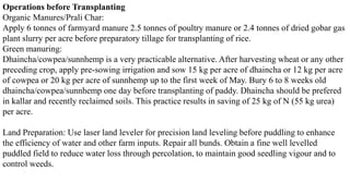 Operations before Transplanting
Organic Manures/Prali Char:
Apply 6 tonnes of farmyard manure 2.5 tonnes of poultry manure or 2.4 tonnes of dried gobar gas
plant slurry per acre before preparatory tillage for transplanting of rice.
Green manuring:
Dhaincha/cowpea/sunnhemp is a very practicable alternative. After harvesting wheat or any other
preceding crop, apply pre-sowing irrigation and sow 15 kg per acre of dhaincha or 12 kg per acre
of cowpea or 20 kg per acre of sunnhemp up to the first week of May. Bury 6 to 8 weeks old
dhaincha/cowpea/sunnhemp one day before transplanting of paddy. Dhaincha should be prefered
in kallar and recently reclaimed soils. This practice results in saving of 25 kg of N (55 kg urea)
per acre.
Land Preparation: Use laser land leveler for precision land leveling before puddling to enhance
the efficiency of water and other farm inputs. Repair all bunds. Obtain a fine well levelled
puddled field to reduce water loss through percolation, to maintain good seedling vigour and to
control weeds.
 