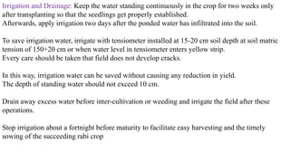 Irrigation and Drainage: Keep the water standing continuously in the crop for two weeks only
after transplanting so that the seedlings get properly established.
Afterwards, apply irrigation two days after the ponded water has infiltrated into the soil.
To save irrigation water, irrigate with tensiometer installed at 15-20 cm soil depth at soil matric
tension of 150+20 cm or when water level in tensiometer enters yellow strip.
Every care should be taken that field does not develop cracks.
In this way, irrigation water can be saved without causing any reduction in yield.
The depth of standing water should not exceed 10 cm.
Drain away excess water before inter-cultivation or weeding and irrigate the field after these
operations.
Stop irrigation about a fortnight before maturity to facilitate easy harvesting and the timely
sowing of the succeeding rabi crop
 