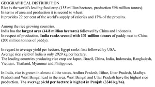 GEOGRAPHICAL DISTRIBUTION
Rice is the world’s leading food crop (155 million hectares, production 596 million tonnes)
In terms of area and production it is second to wheat.
It provides 22 per cent of the world’s supply of calories and 17% of the proteins.
Among the rice growing countries,
India has the largest area (44.8 million hectares) followed by China and Indonesia.
In respect of production, India ranks second with 131 million tonnes of paddy next to China
(200 million tonnes of paddy).
In regard to average yield per hectare, Egypt ranks first followed by USA.
Average rice yield of India is only 2929 kg per hectare.
The leading countries producing rice crop are Japan, Brazil, China, India, Indonesia, Bangladesh,
Vietnam, Thailand, Myanmar and Philippines.
In India, rice is grown in almost all the states. Andhra Pradesh, Bihar, Uttar Pradesh, Madhya
Pradesh and West Bengal lead in the area. West Bengal and Uttar Pradesh have the highest rice
production. The average yield per hectare is highest in Punjab (3346 kg/ha).
 