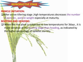 effect of different weather elements on growth and development of rice ...