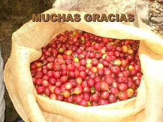 MUCHAS GRACIAS 