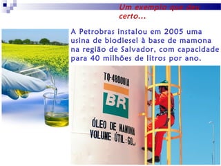 Um exemplo que deu
certo...
A Petrobras instalou em 2005 uma
usina de biodiesel à base de mamona
na região de Salvador, com capacidade
para 40 milhões de litros por ano.

 