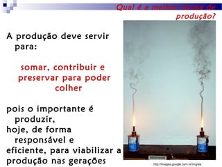 Qual é a melhor forma de
produção?

A produção deve servir
para:
somar, contribuir e
preservar para poder
colher
pois o importante é
produzir,
hoje, de forma
responsável e
eficiente, para viabilizar a
produção nas gerações

http://images.google.com.br/imgres

 